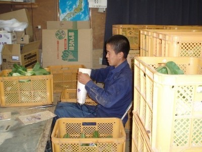 出國(guó)打工需要符合哪些條件